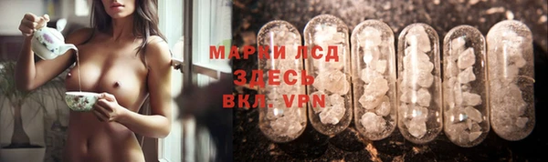 индика Белоозёрский