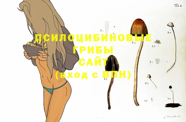 индика Белоозёрский