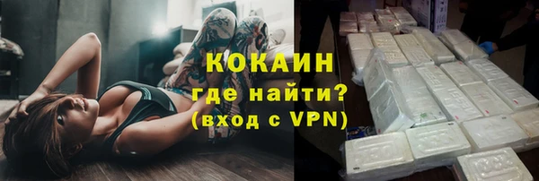 индика Белоозёрский