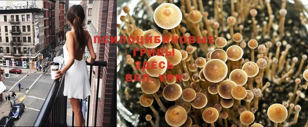 метадон Беломорск