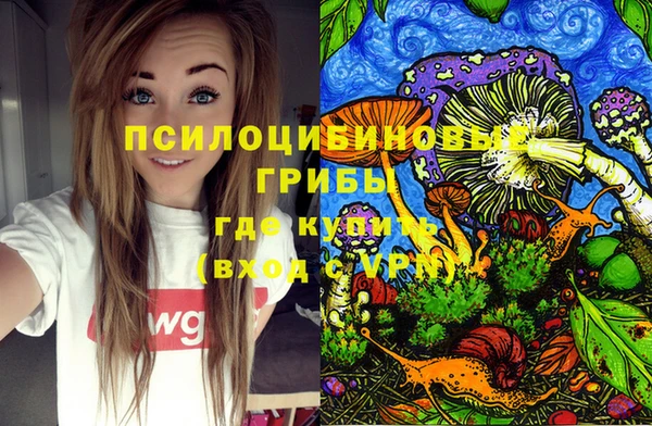 метадон Беломорск