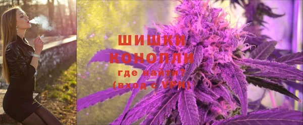 индика Белоозёрский
