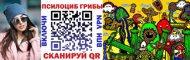 Купить  Вихоревка  Псилоцибиновые грибы ЛСД 